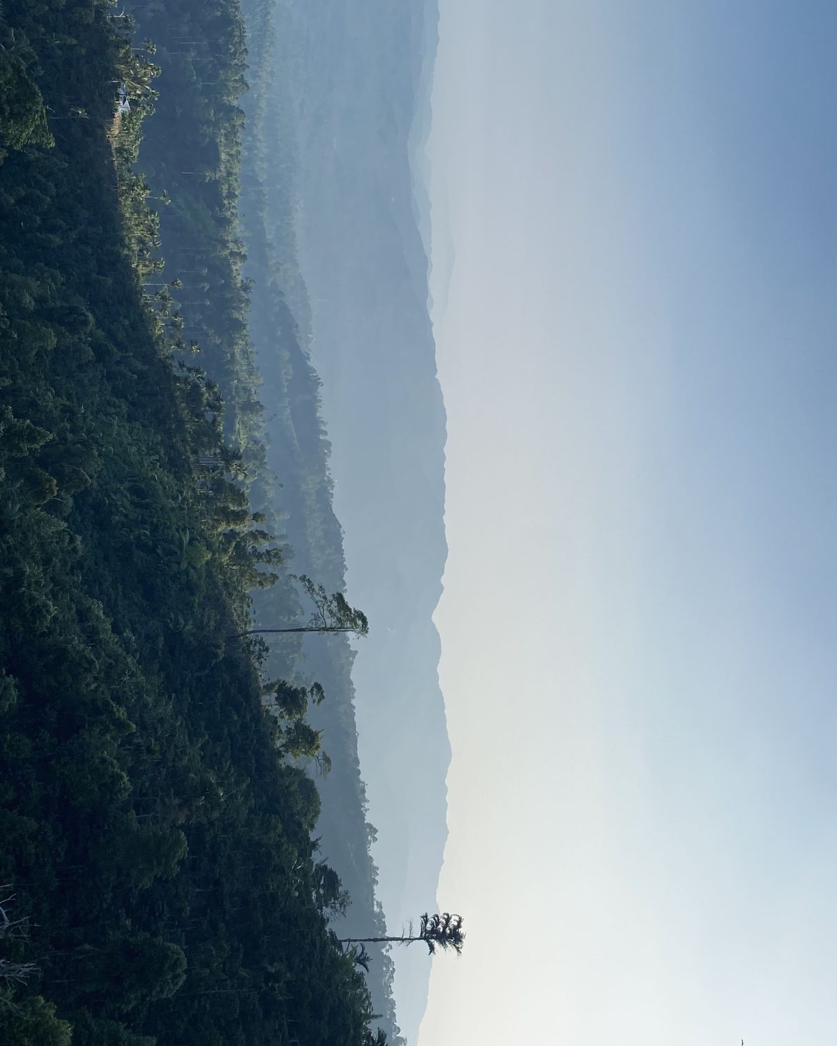 Karya Foto 2